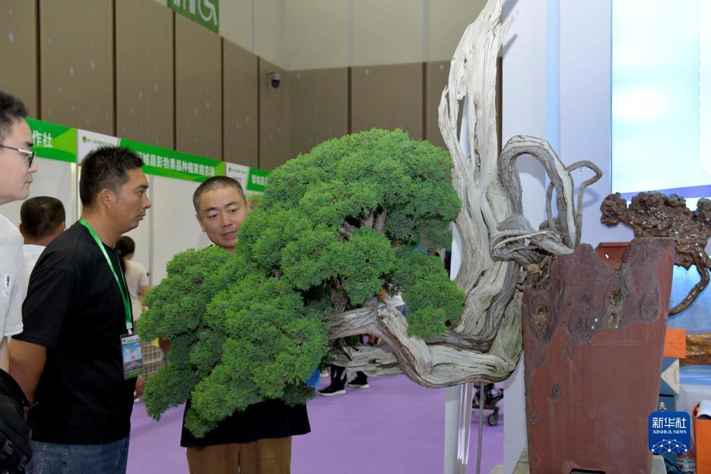 老虎机游戏手机版