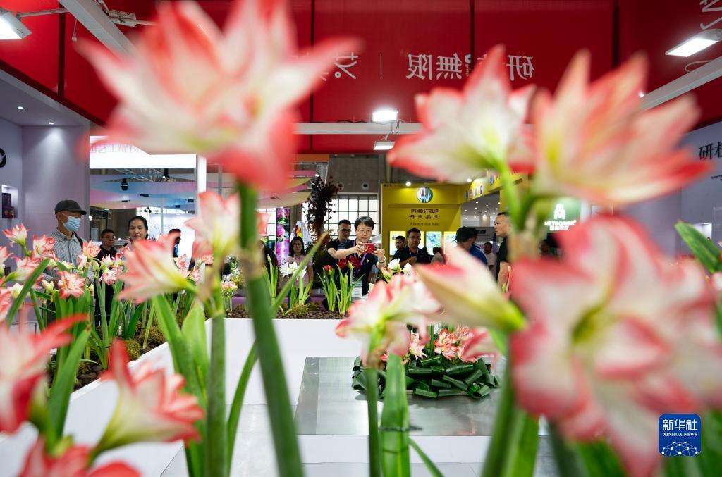 白菜网2018